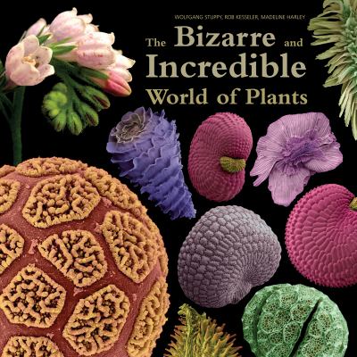 The bizarre and incredible world of plants 