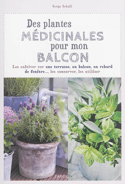 Des plantes médicinales pour mon balcon 