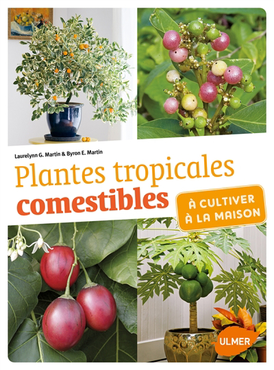 Plantes tropicales comestibles : à cultiver à la maison 