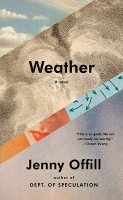 Weather : a novel 