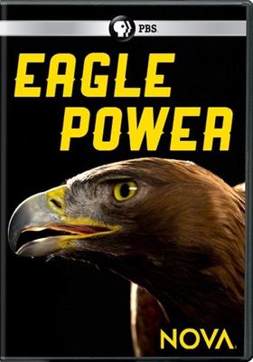 Eagle power 